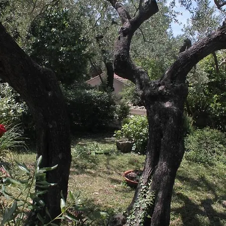 By The Sea Cavtat, Dubrovnik - 8826 Apartman Cavtat