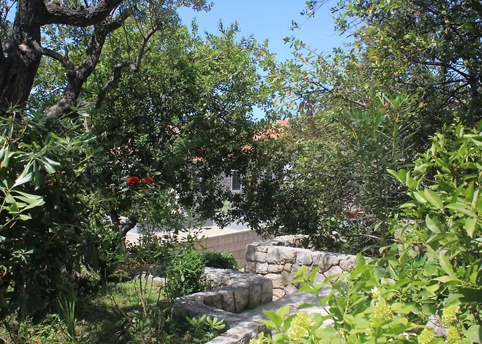 By The Sea Cavtat, Dubrovnik - 8826 Apartamento Cavtat