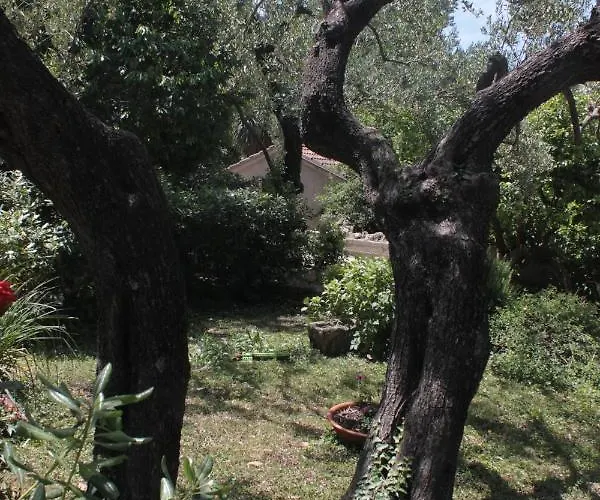 By The Sea Cavtat, Dubrovnik - 8826 Apartament Cavtat